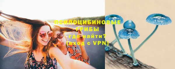 ALPHA PVP Белокуриха