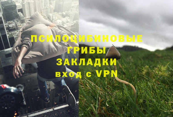 ALPHA PVP Белокуриха
