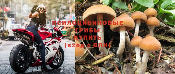 хмурый Снежинск