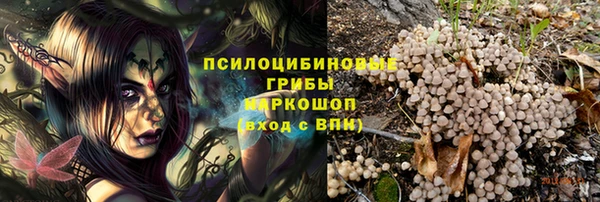 ALPHA PVP Белокуриха