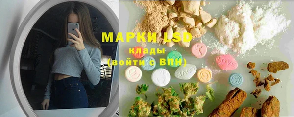 крисы Беломорск