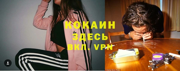 крисы Беломорск