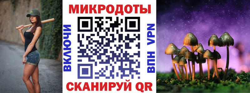 где найти   Завитинск  Псилоцибиновые грибы Magic Shrooms 