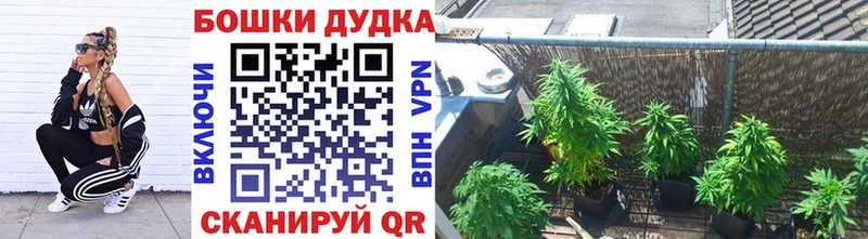 Марихуана индика Завитинск